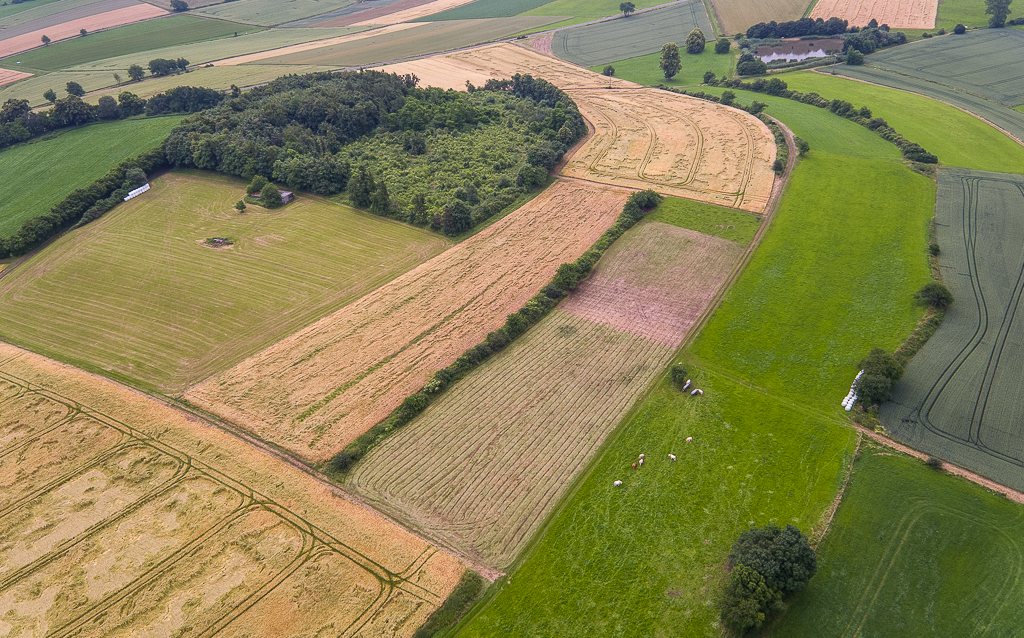 Grün- und Ackerland mit Hecken und "Bauernwäldchen" (© S. Rösner | pixeldiversity)